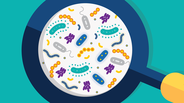 Microbiome và microbiota khác nhau như thế nào?