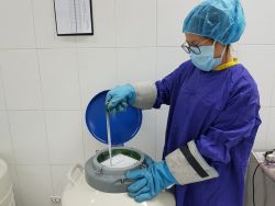 Bảo quản tinh trùng tại Ngân hàng mô Bệnh viện Hữu nghị Việt Đức