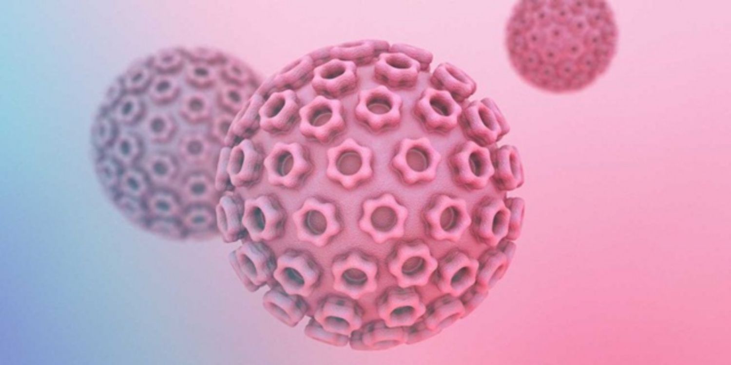 HPV “ngủ đông” trong bao lâu?