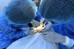 Nơi trồng răng Implant giá tốt và uy tín tại Cần Thơ - Nha khoa Đăng Lưu