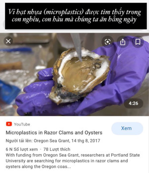 MĨ PHẨM CHỨA VI HẠT NHỰA