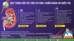 Suy thận cấp do tiêu cơ vân: Chẩn đoán và điều trị - Bệnh viện Việt Đức