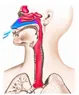 Rubella - Bệnh viện Từ Dũ