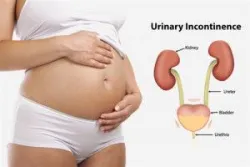 Nhiễm trùng đường tiết niệu khi mang thai - Bệnh viện Từ Dũ