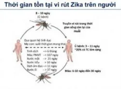 Nhiễm Zika và tật đầu nhỏ trong thai kỳ - Bệnh viện Từ Dũ