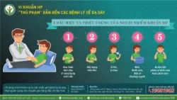 Vi khuẩn HP – “Thủ phạm” dẫn đến các bệnh lý về dạ dày - Bệnh viện Việt Đức