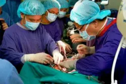 Kỷ lục, Việt Nam thực hiện đồng thời lấy 6 tạng từ người cho chết não - Bệnh viện Việt Đức