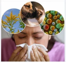 CẢNH GIÁC: VIÊM MŨI DỊ ỨNG ĐANG “VÀO MÙA”