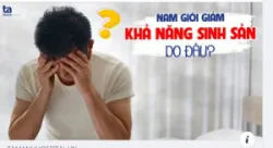 “CHỈ ĐIỂM” NGUYÊN NHÂN KHIẾN NAM GIỚI GIẢM KHẢ NĂNG SINH SẢN