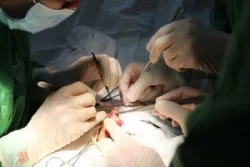 Dị tật hệ sinh dục bẩm sinh: Ðừng chờ đợi hoặc bỏ qua - Bệnh viện Việt Đức