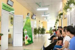 Tiết lộ bất ngờ về bệnh lý sỏi đường mật và sỏi túi mật - Bệnh viện Việt Đức