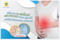 KIỂM TRA VI KHUẨN HP NGAY TẠI NHÀ AN TOÀN, NHANH CHÓNG, CHÍNH XÁC