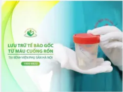 Lưu trữ tế bào gốc Món quà sức khoẻ ý nghĩa nhất