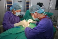 Xoắn tinh hoàn – Nhầm lẫn trong chẩn đoán, chậm trễ điều trị có thể mất tinh hoàn của trẻ - Bệnh viện Việt Đức