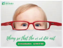 NHỮNG SỰ THẬT THÚ VỊ VỀ ĐÔI MẮT