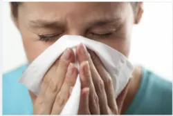 TÌM HIỂU BỆNH VIÊM MŨI DỊ ỨNG: NGUYÊN NHÂN, TRIỆU CHỨNG VÀ CÁCH PHÒNG NGỪA