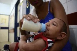 Virus zika lây qua muỗi đốt, truyền máu và quan hệ tình dục - Bệnh viện 108