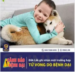 ĐẮK LẮK GHI NHẬN BỆNH NHÂN THỨ 3 TỬ VONG VÌ BỆNH DẠI CHỈ TÍNH TRONG 3 THÁNG ĐẦU NĂM