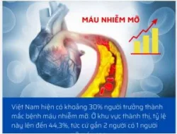 MÁU NHIỄM MỠ - "KẺ GIẾT NGƯỜI THẦM LẶNG", CHUYÊN GIA CHỈ RA 9 ĐIỀU NÊN LÀM NGAY!!