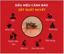 MƯA PHÙN, NỒM ẨM - CẢNH GIÁC KHI SỐT XUẤT HUYẾT "VÀO MÙA"