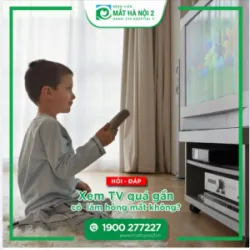 GIẢI MÃ BÍ ẨN VỀ ĐÔI MẮT VÀ THỊ LỰC