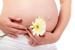 Tiêm phòng cho bà bầu và những thông tin cần biết