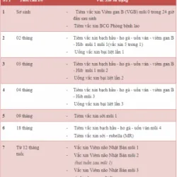 Những mũi vắc-xin phải tiêm cho trẻ trước 12 tháng tuổi