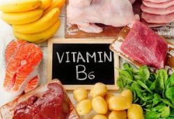 Gà Tây và gà thường: Loại nào có nhiều Protein hơn?