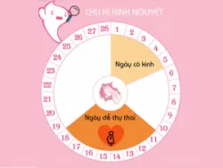 Các khuyến cáo về việc canh trứng để thụ thai