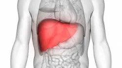 Trắc nghiệm: Bạn có thật sự hiểu lá gan của mình?