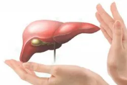 Dấu hiệu gan nhiễm độc