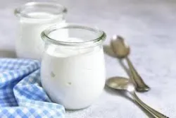 Vai trò của vi khuẩn trong sữa chua