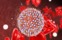 Bệnh viêm gan do virus là gì?