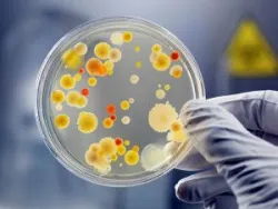 Các mẫu bệnh phẩm tế bào học và sinh thiết sẽ được xử lý như thế nào?