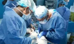 Thế nào là suy giảm miễn dịch thứ phát?