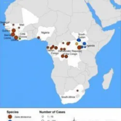 Chẩn đoán và điều trị bệnh do virus Ebola theo hướng dẫn của Bộ Y tế