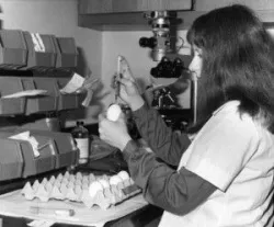 Đại dịch 1968: Virus H3N2
