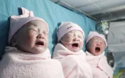 Chuyển phôi ngày 5 tỉ lệ thành công cao không?