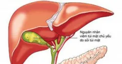 Phần 5: Kích hoạt các Receptor dinh dưỡng trong ruột như một Chiến lược trị liệu