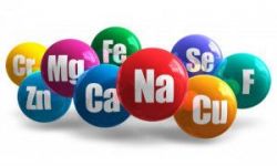 Hội chứng thận hư nên ăn gì để đủ albumin