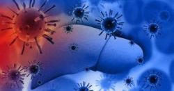 Xét Nghiệm 23 Kháng Thể Kháng Nhân (ANA 23 Profile)