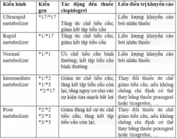 Xét nghiệm gen trong đáp ứng điều trị thuốc Clopidorgel  trong can thiệp tim mạch