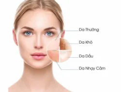 Các Loại Da Và Cách Chăm Sóc: Da Thường - Khô - Nhờn - Hỗn Hợp - Nhạy Cảm