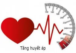 Chọn lựa dịch truyền trong hồi sức