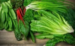 Suy mạch vành: Nguyên nhân, triệu chứng, phương pháp điều trị