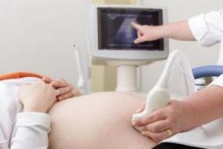Siêu âm trong đánh giá các bệnh lý thần kinh
