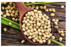 Hãy nạp đủ lượng protein bạn cần
