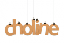 Dấu hiệu của ngộ độc Choline