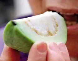 Có nên ăn vỏ và hạt ổi không?