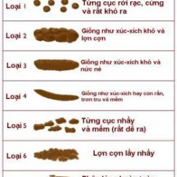 Thế Nào Là Phân Bình Thường?